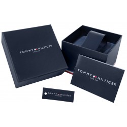 Zegarek Męski Tommy Hilfiger Lars 1792063 + BOX